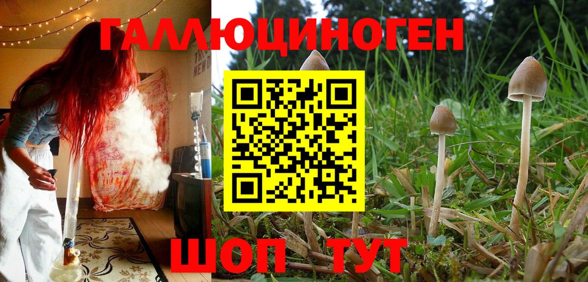 Нижнеудинск  Псилоцибиновые грибы прущие грибы  Вход с VPN  Галлюциногенные грибы мухоморы 